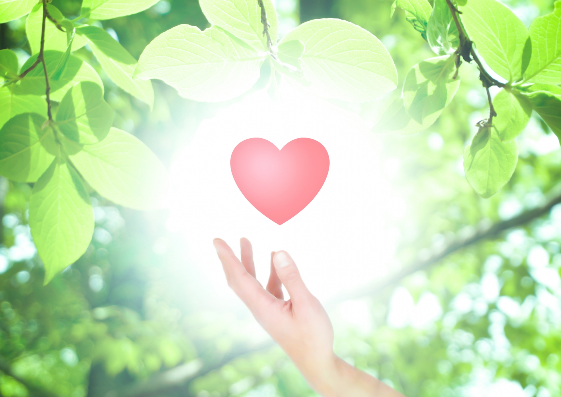 ダイエット時メンタルサポートの記事のアイキャッチ画像