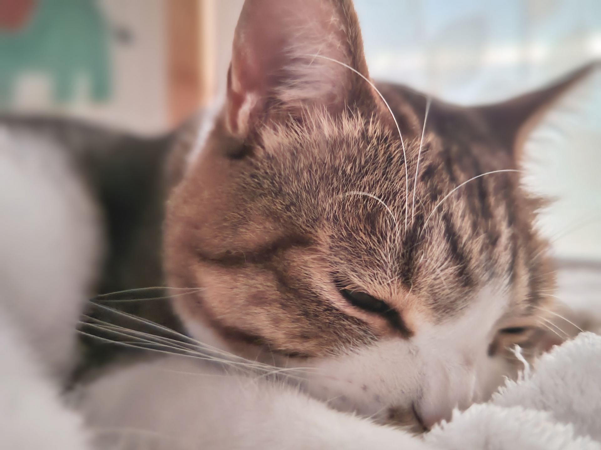 睡眠記事のアイキャッチ画像