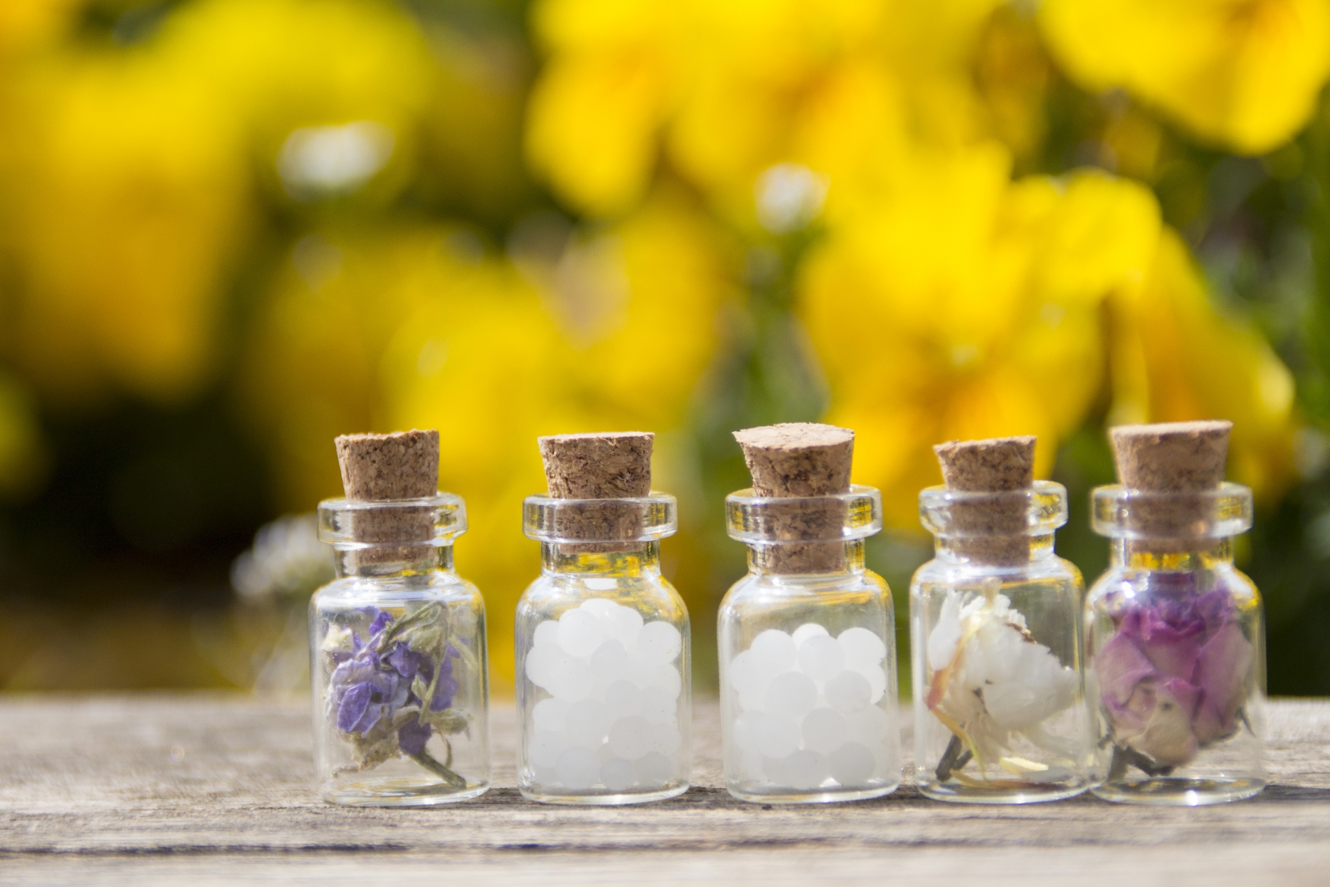 ホメオパシーのコラムのアイキャッチ画像