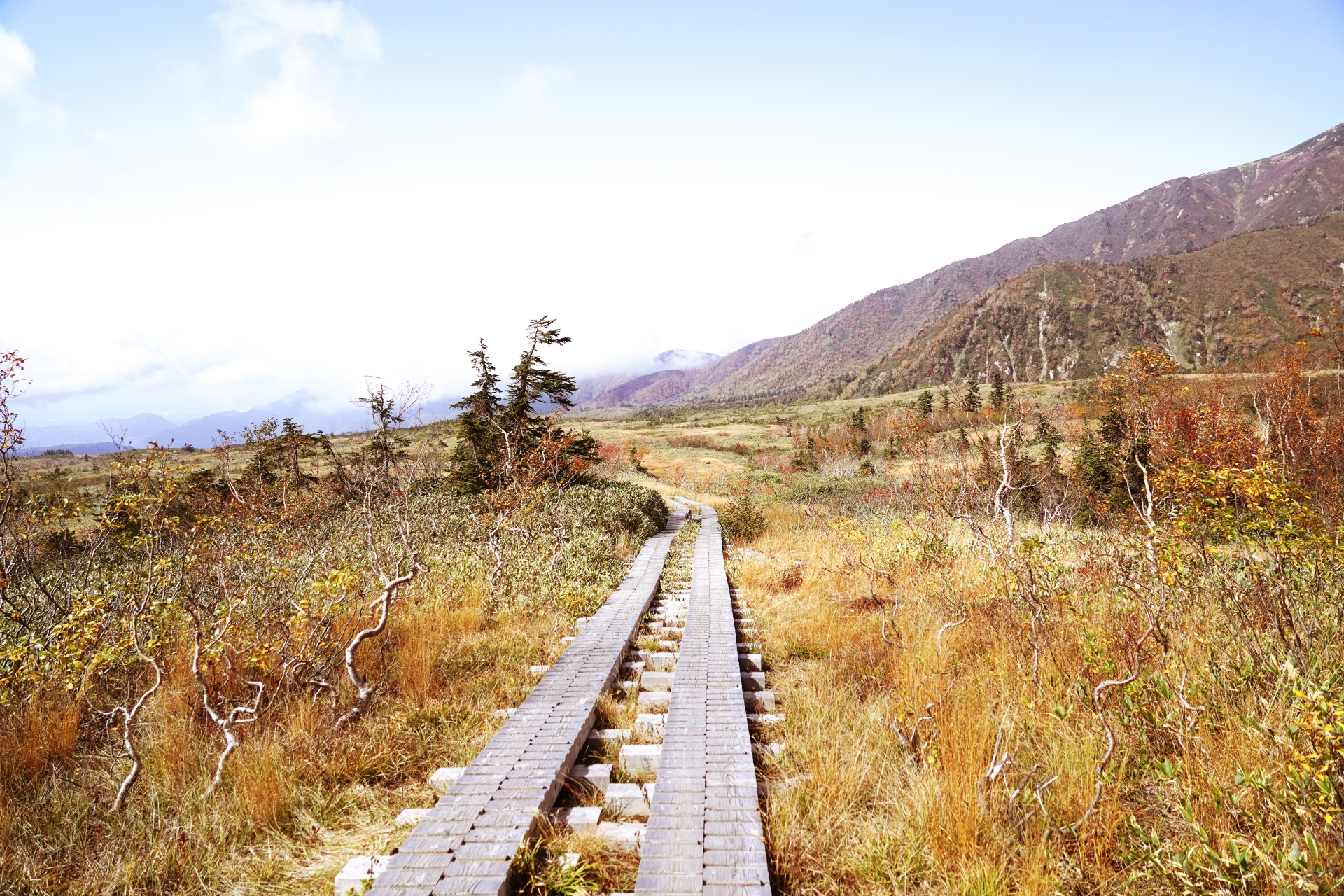 ハイキングのコラムのアイキャッチ画像