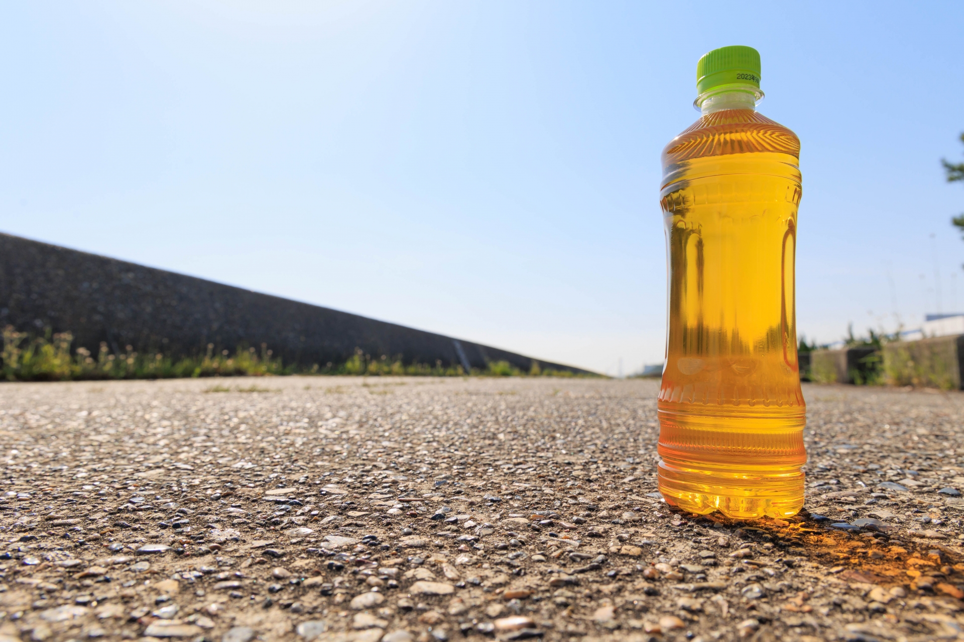 お茶のコラムのアイキャッチ画像