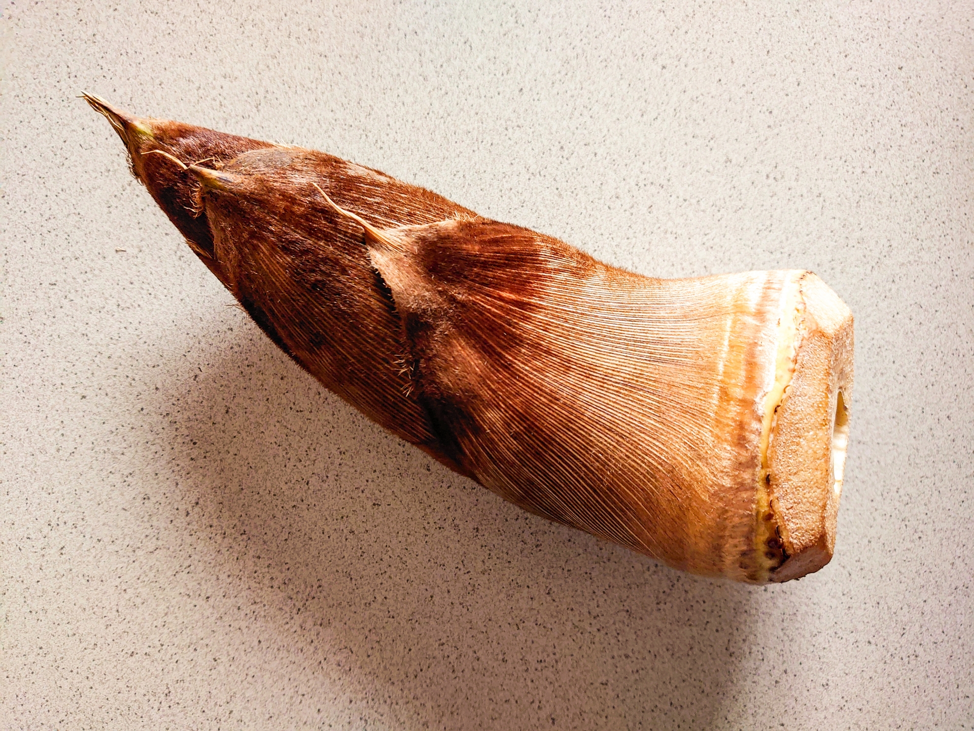 食材のシーズン性のコラムのアイキャッチ画像