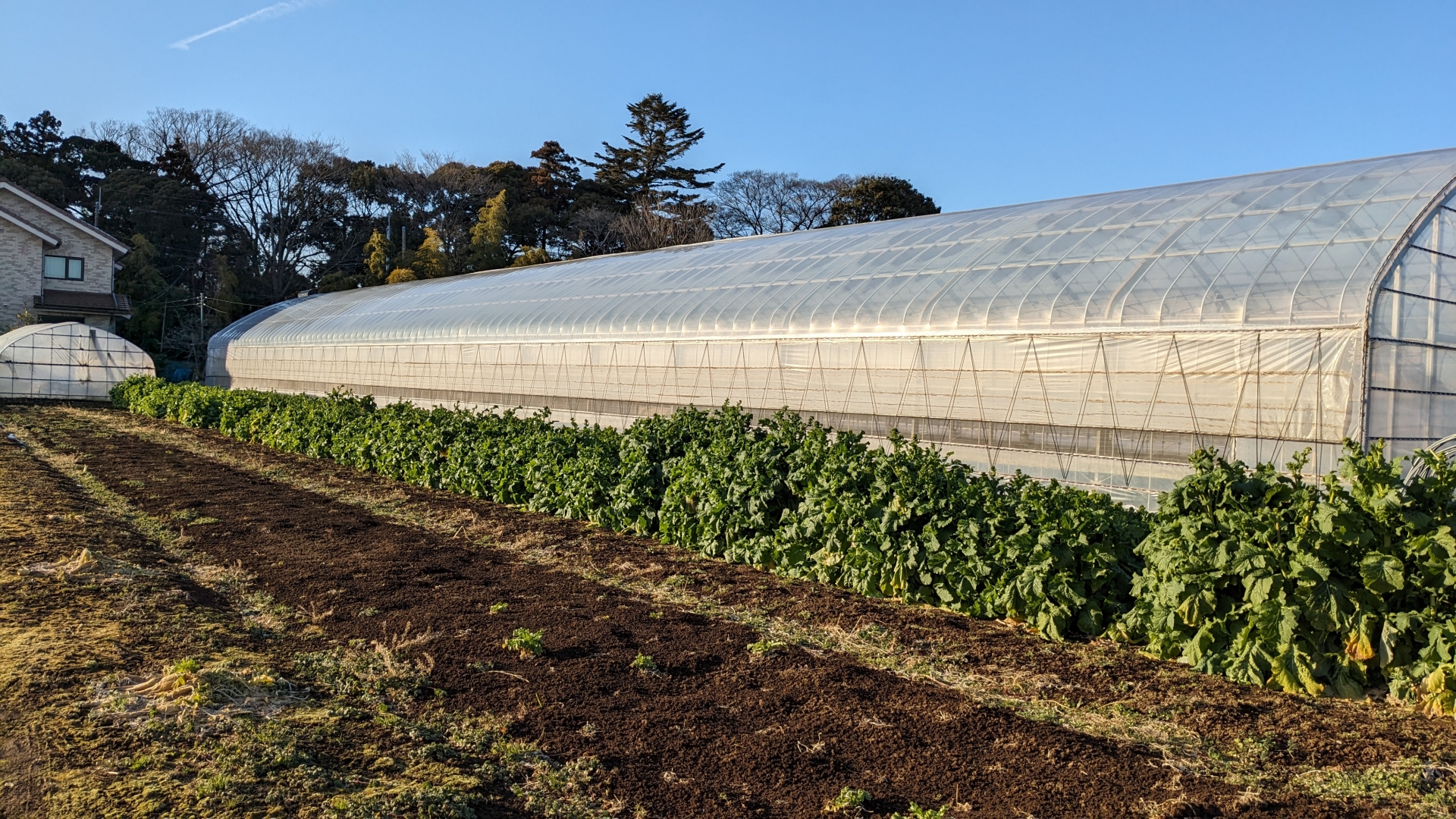 ファームツーテーブルのコラムのアイキャッチ画像