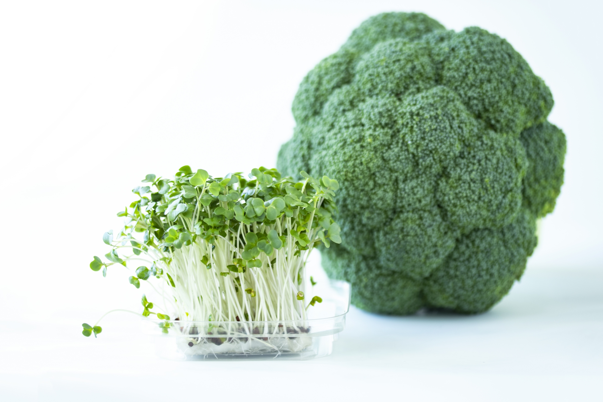 ベジタリアン食材のコラムのアイキャッチ画像